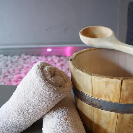 Ξενοδοχείο Fletcher Wellness-hotel Stadspark 4*